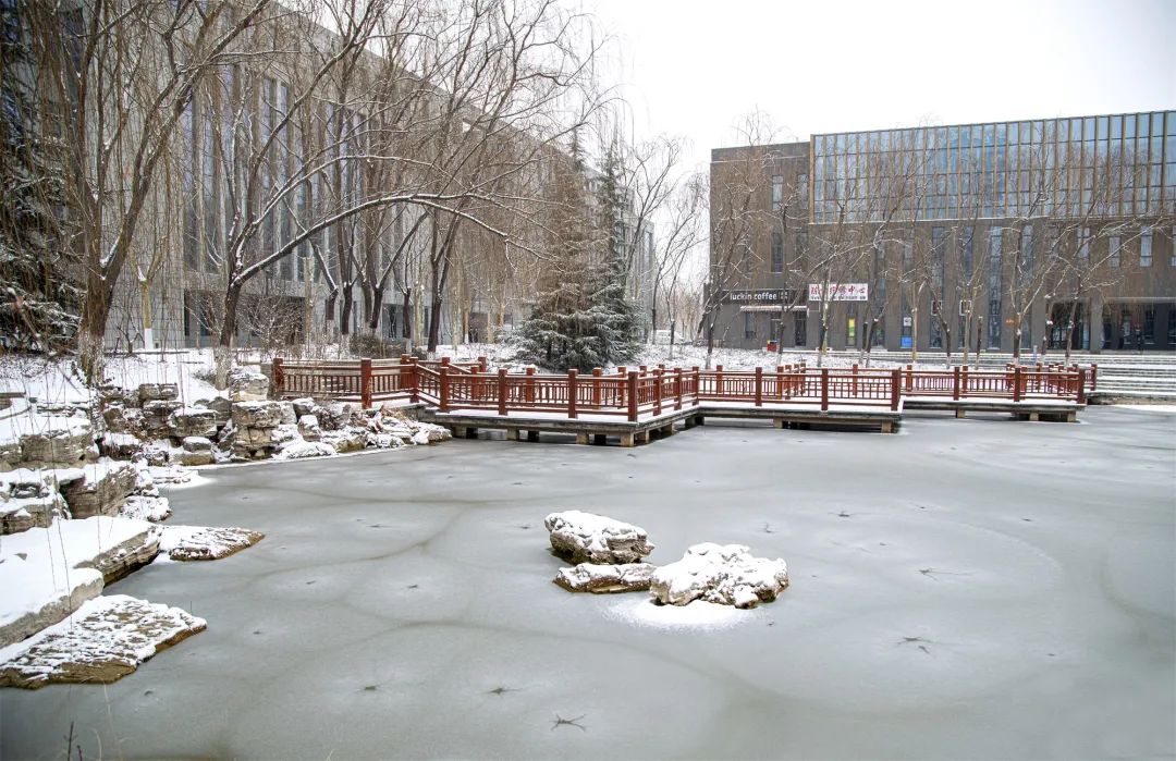 开年瑞雪，师大校园寂静如诗