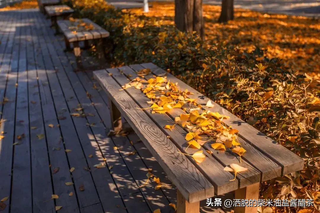 长得像斗鱼的野生鱼身体没有颜色(这个平台就欺骗不认识鱼的人，这个鱼有点像鲤鱼)