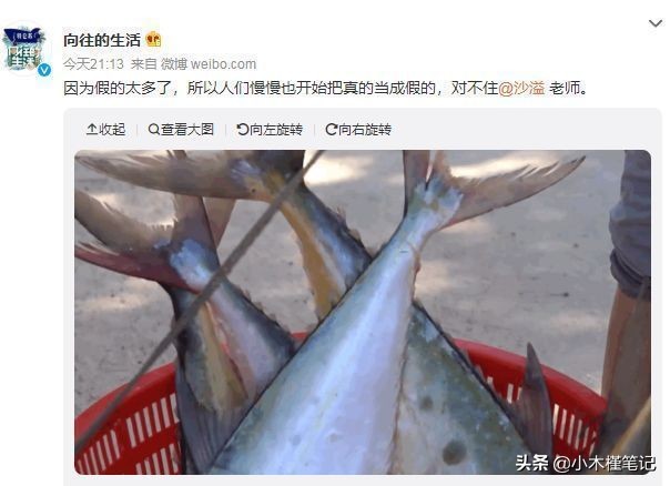 《向往的生活6》又惹争议，被质疑拿道具鱼演戏，节目组发文否认