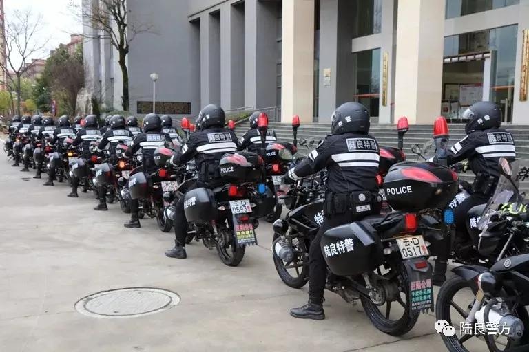 云南曲靖:陆良公安骑警“新名片”正式亮相