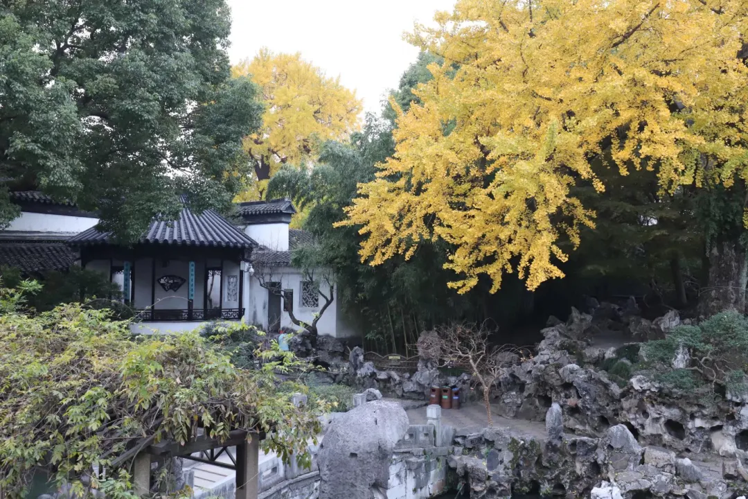 苏州园林特辑 | 待春暖花开之时，相约绝色江南，来一场寻梦之旅