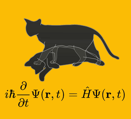 薛定谔的猫：物理学史上最怪诞的思想实验