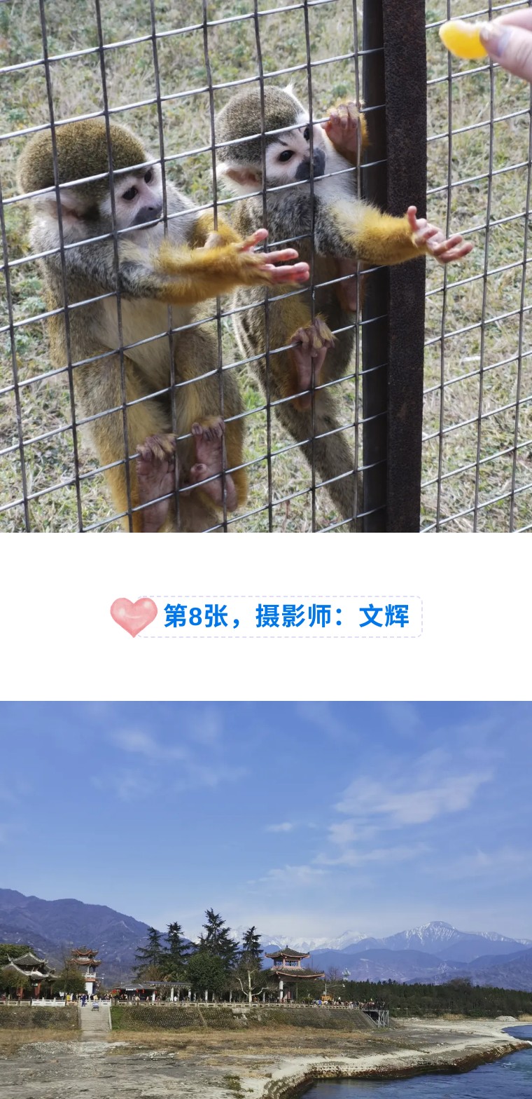 29个技巧，助您手机拍大片！（影展点评第482期）