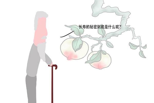 55~65岁是长寿的关键时期？10年中做好这3点，易长寿