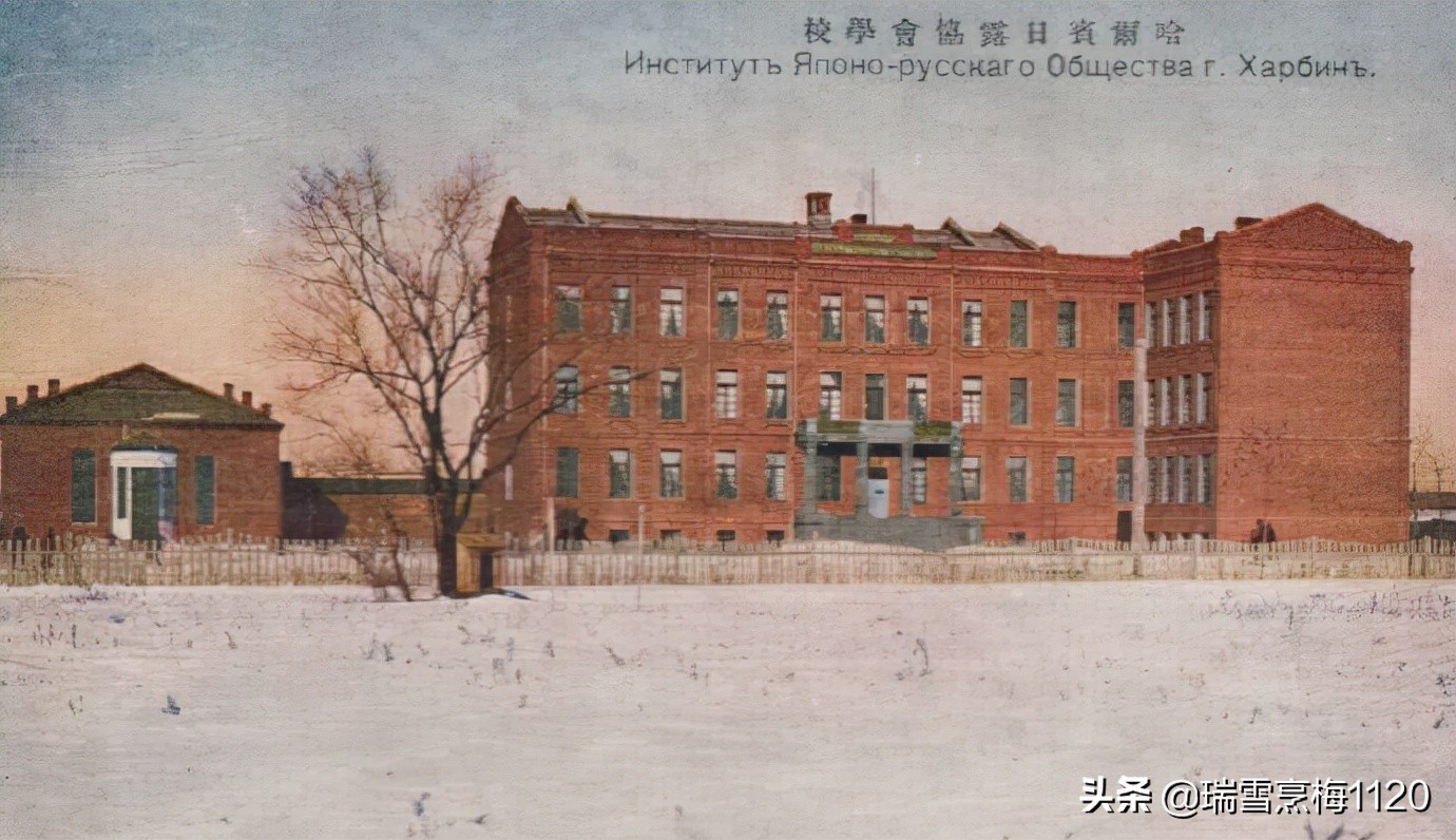 哈尔滨学院是好大学吗（间谍学校）