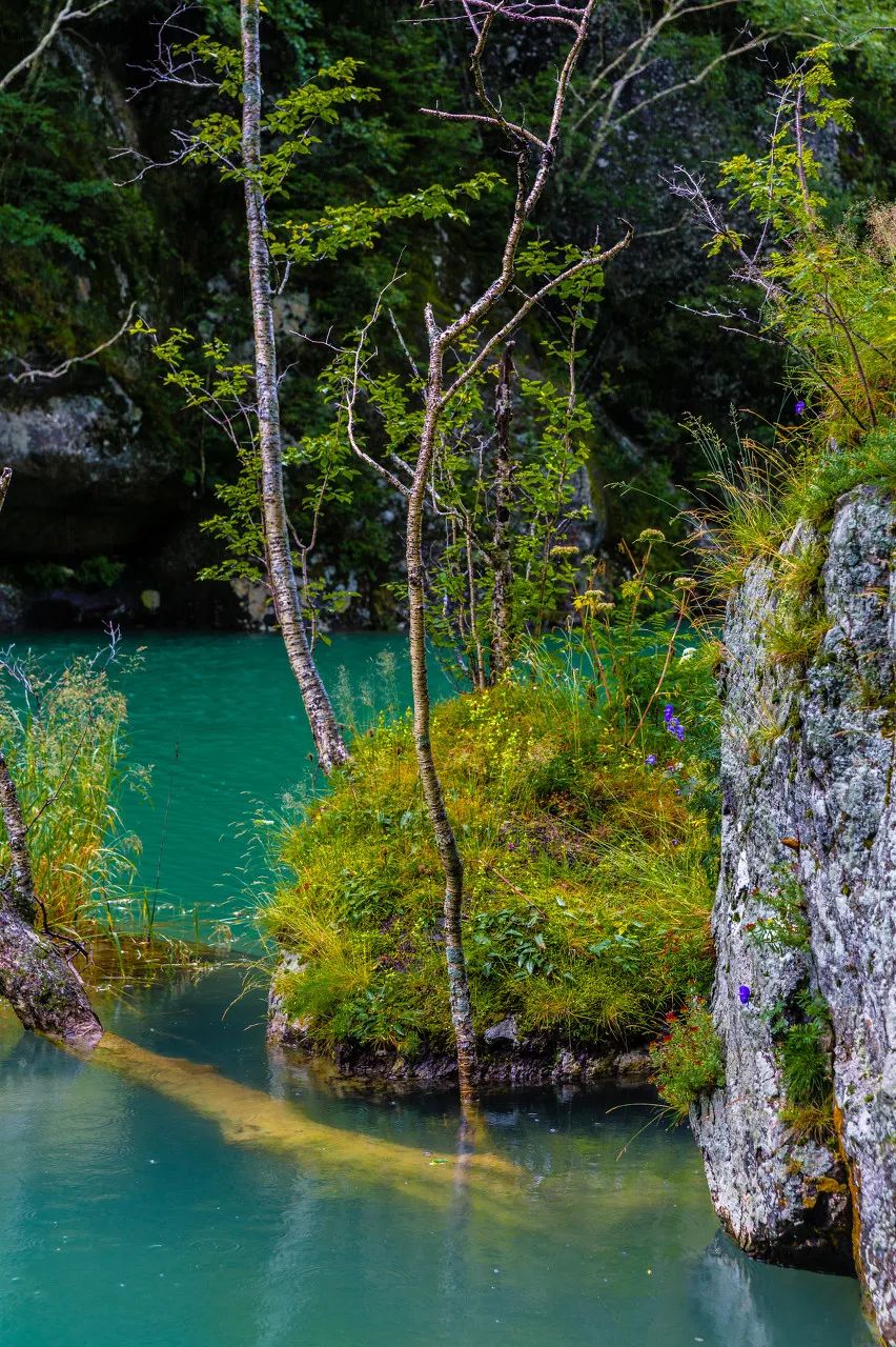 随便挑一个去过20℃的凉快夏天吧 - 114货源网