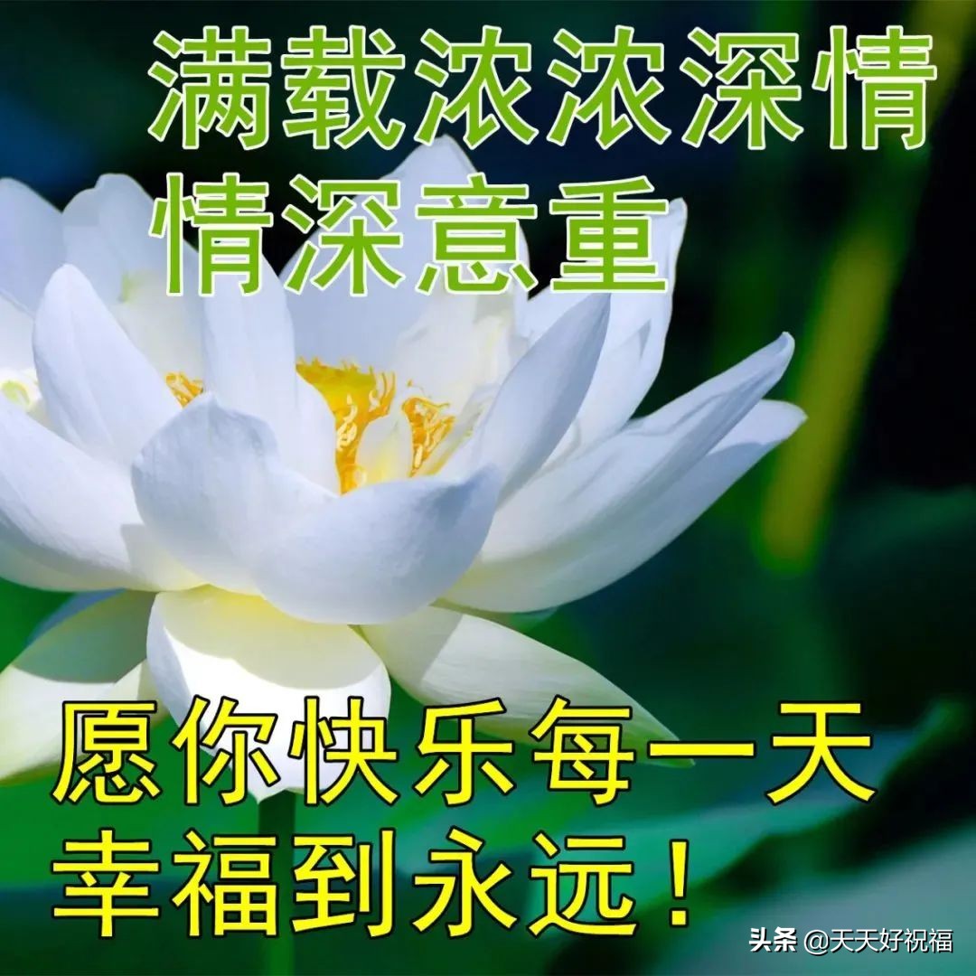 最美春日风景早上好图片带祝福语 朋友圈早安问候语图片带字温馨