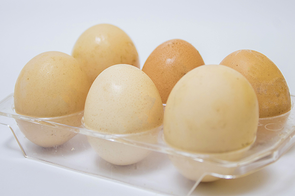 买回来的鸡蛋放冰箱前，有2件事不要做，不少人一直都搞错了