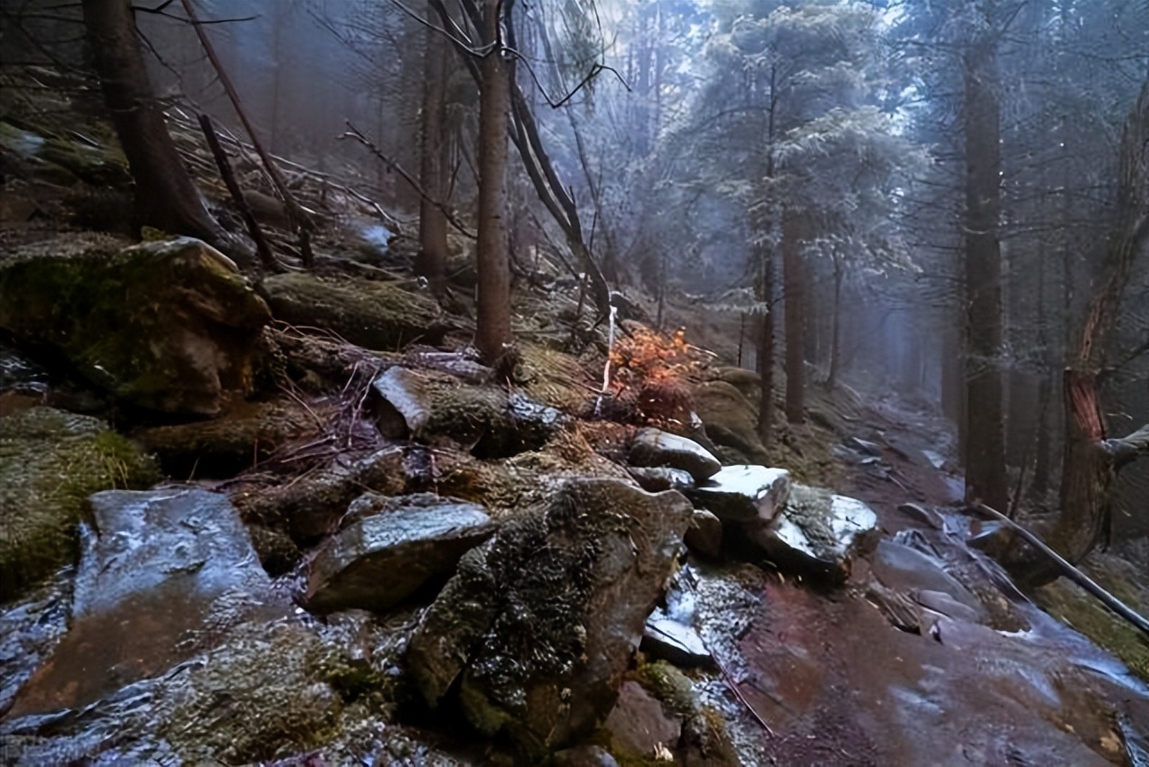 缅甸远征军(1942年3万远征军死在野人山,唯一幸存的女兵:狼咬断同伴颈