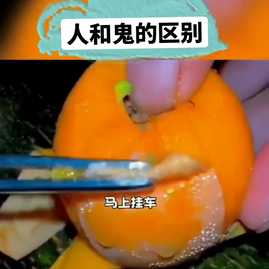 人和鬼有什么区别(人和鬼的区别)