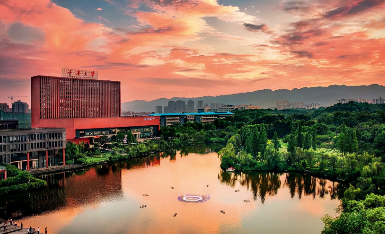 成功大学（我国一所合并很成功的大学）