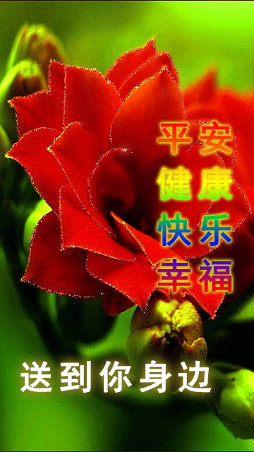 周四美丽的早上好表情包图片精美更新 愿你笑颜开，吉祥平安图片