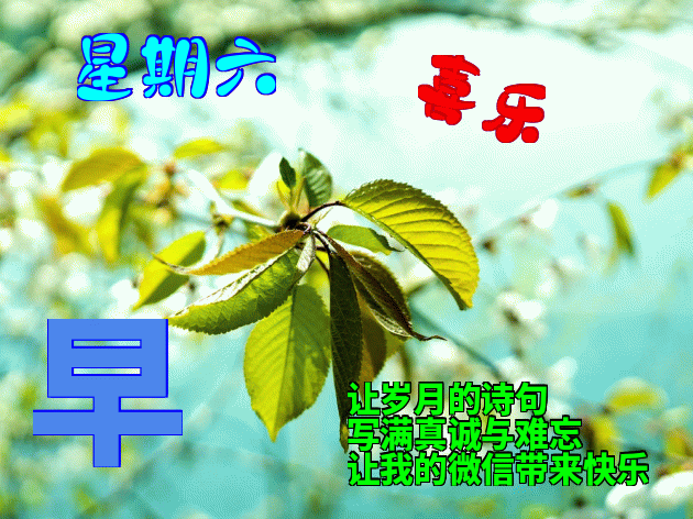 微信群早上好问候语动态表情包，愿你爱人永相伴、笑容永不变图片