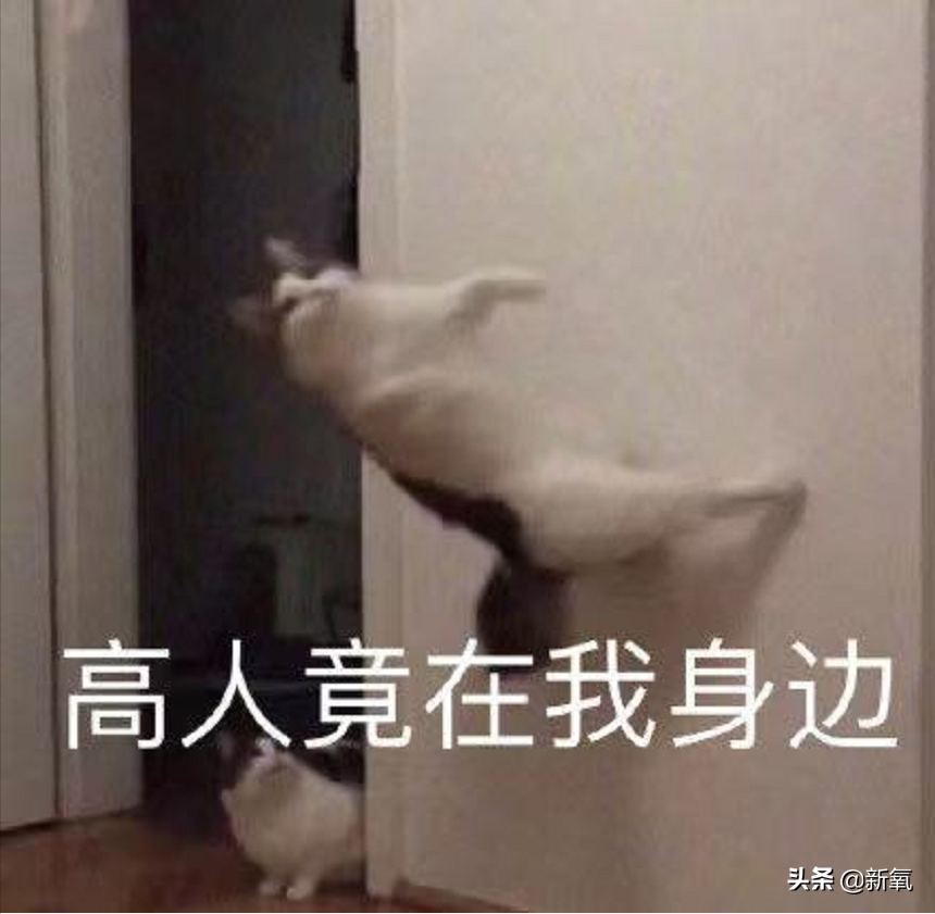 是给的太多了么？她俩之前可是厌恶舞台到顶级巡演都缺席不去…