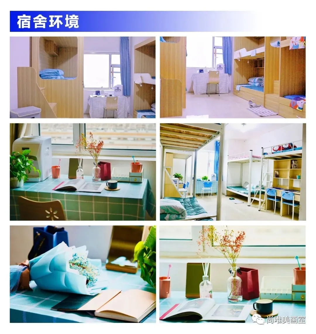 鲁迅美术学院2022年本科招生办法公告