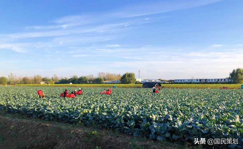 2022年，批准创建40个优势特色产业集群，建议收藏