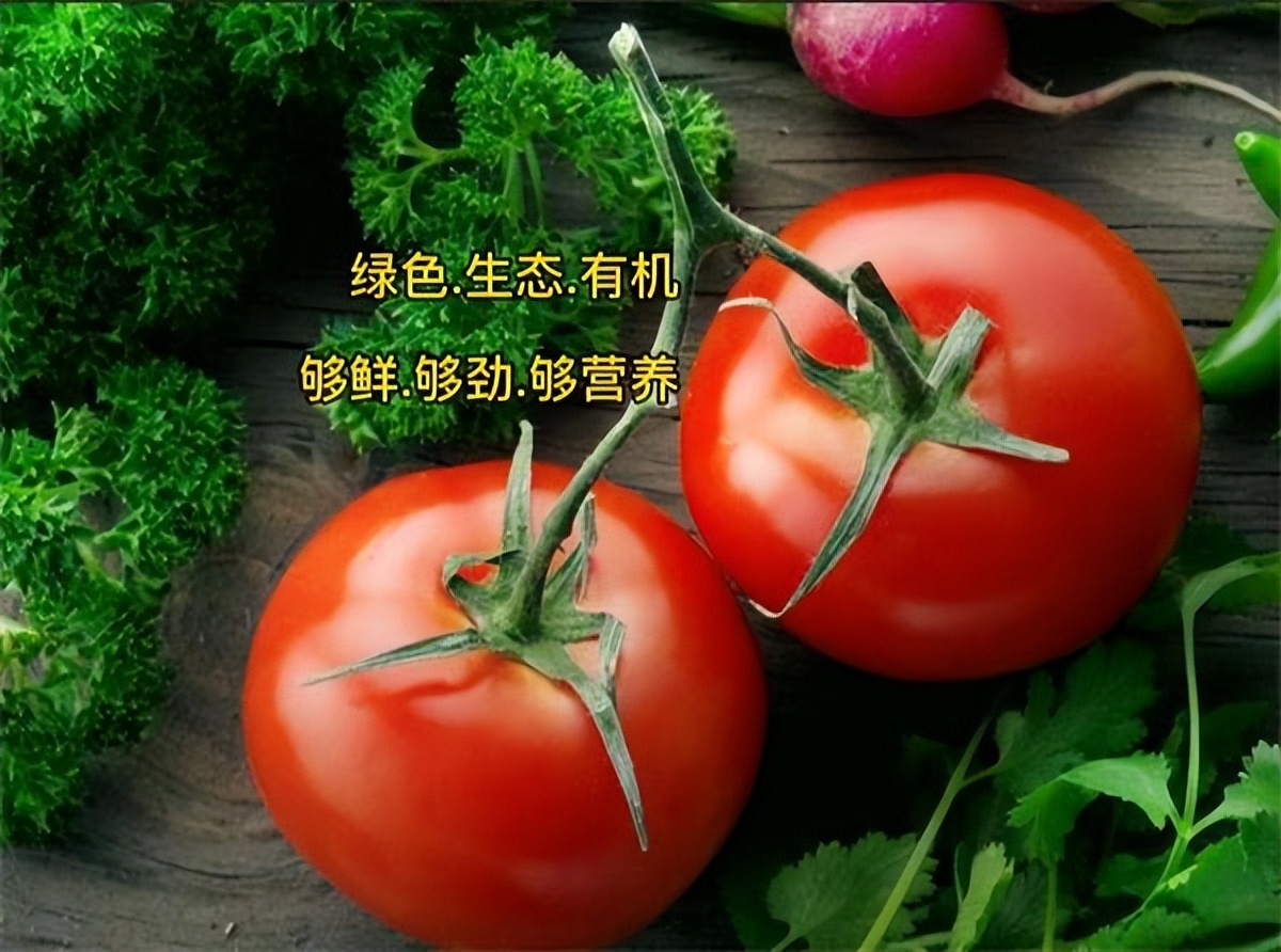 “舌尖”安全有保障 鞍山“高老庄”蔬菜瓜果纯绿色