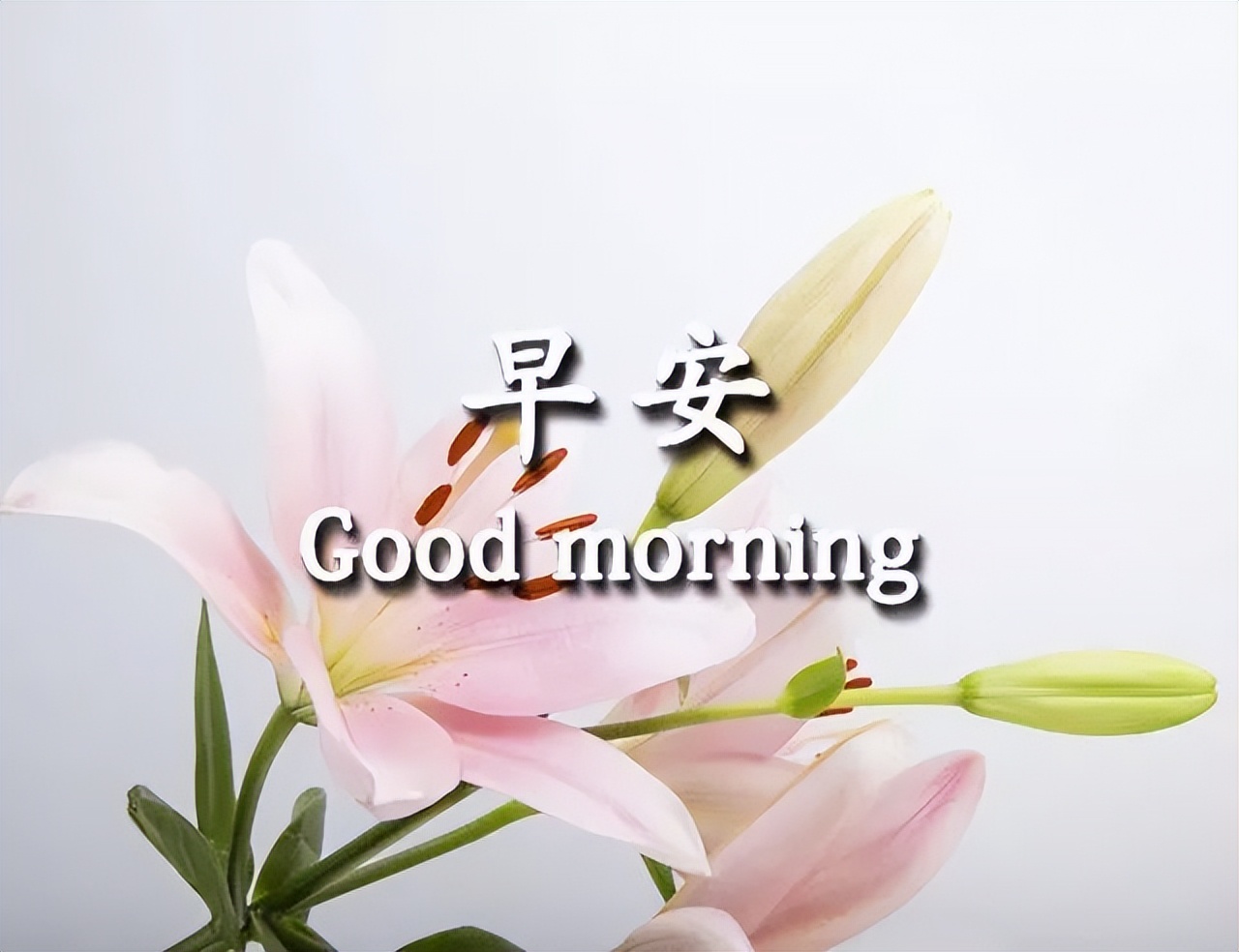 周一早上好祝福语动态图片 早上好，平安喜乐、吉祥如意图片