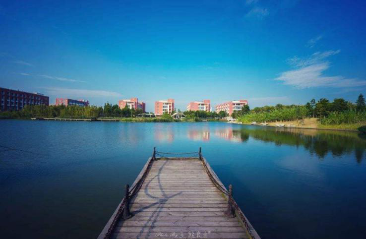 打破欧美垄断封锁！他为企业新增产值超18亿元，获上海市科学技术奖！