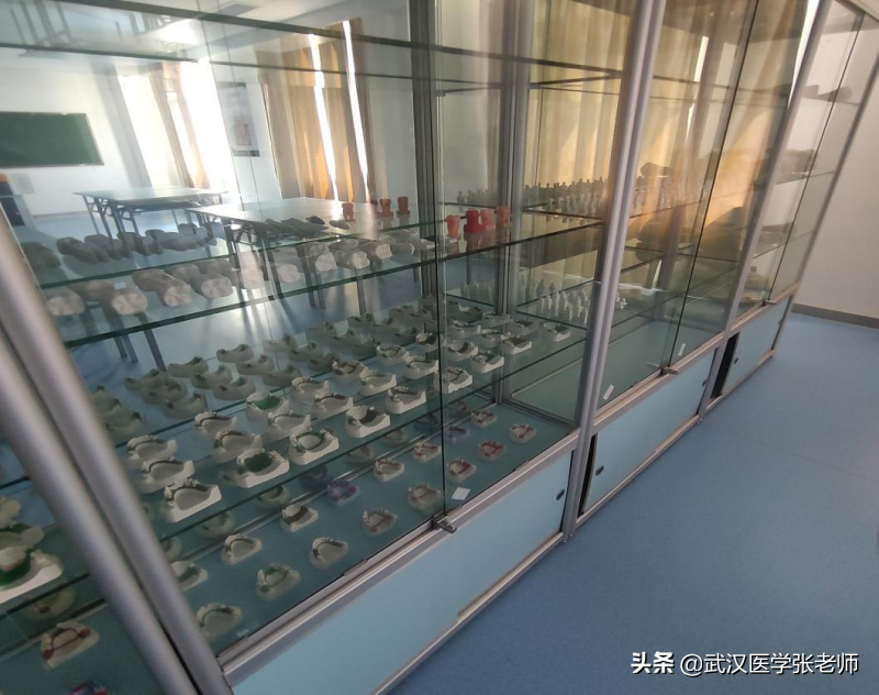 预科班录取口腔医学院校-湖北三峡职业技术学院