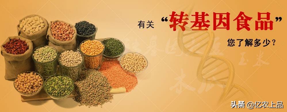 关于“转基因”您了解多少？
