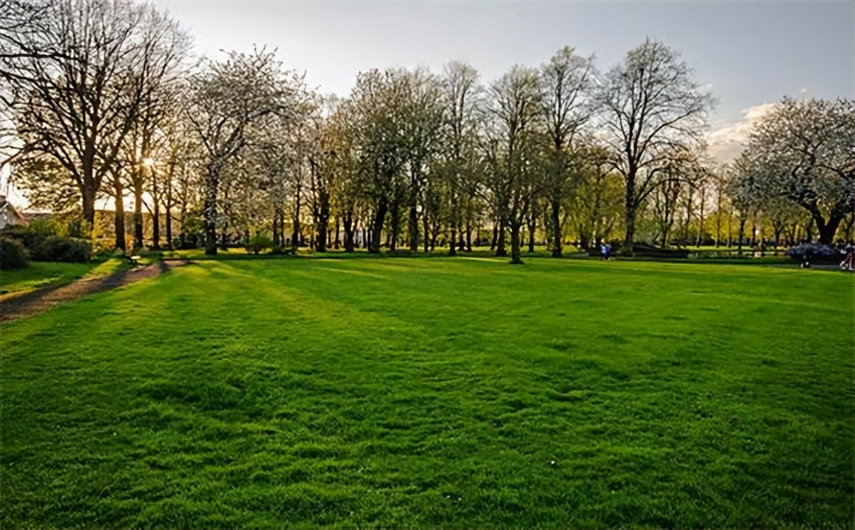 很朴实，接地气的几个本科专业：焊接、草坪科学、电缆工程等