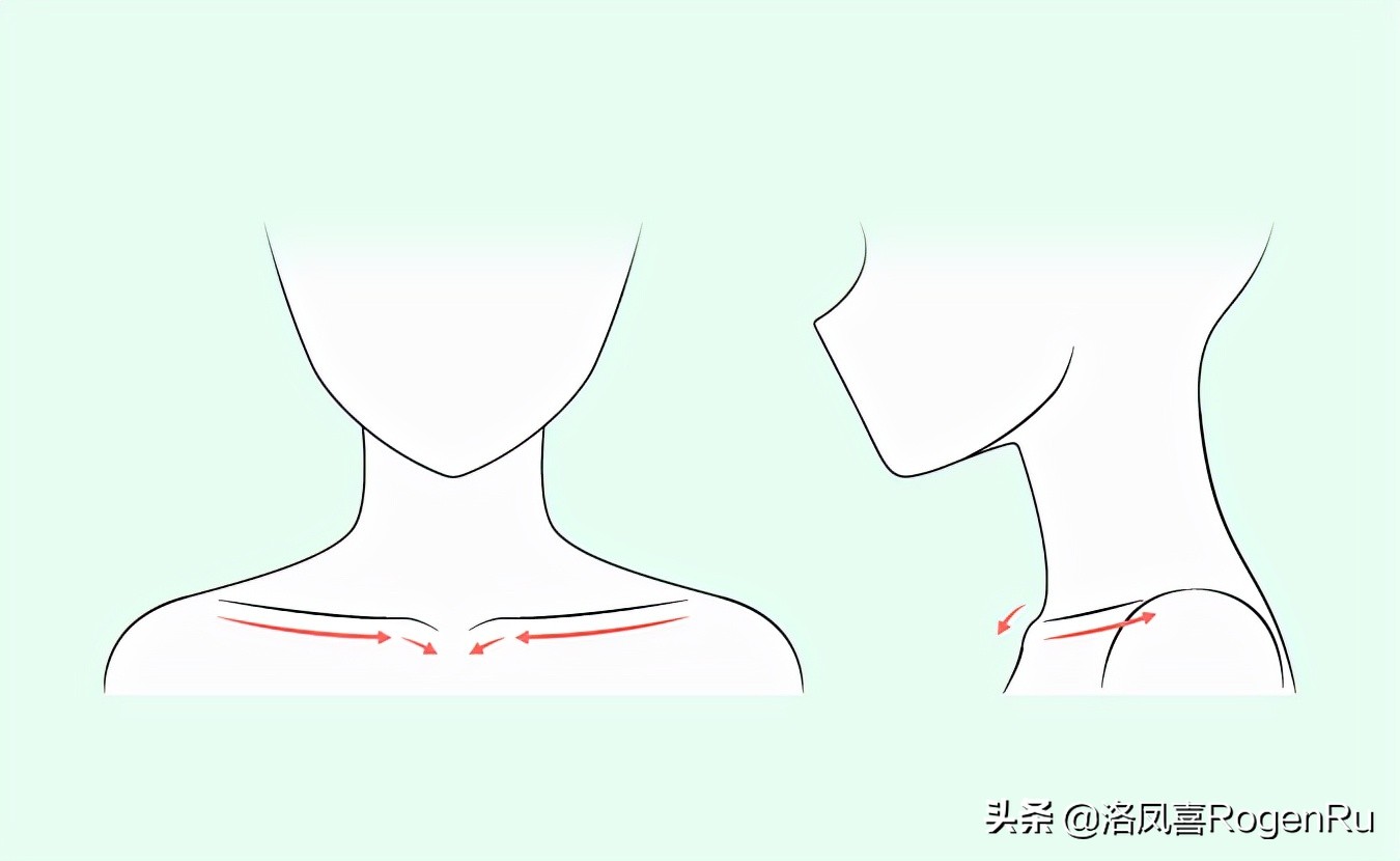 第 2 步 – 画出锁骨