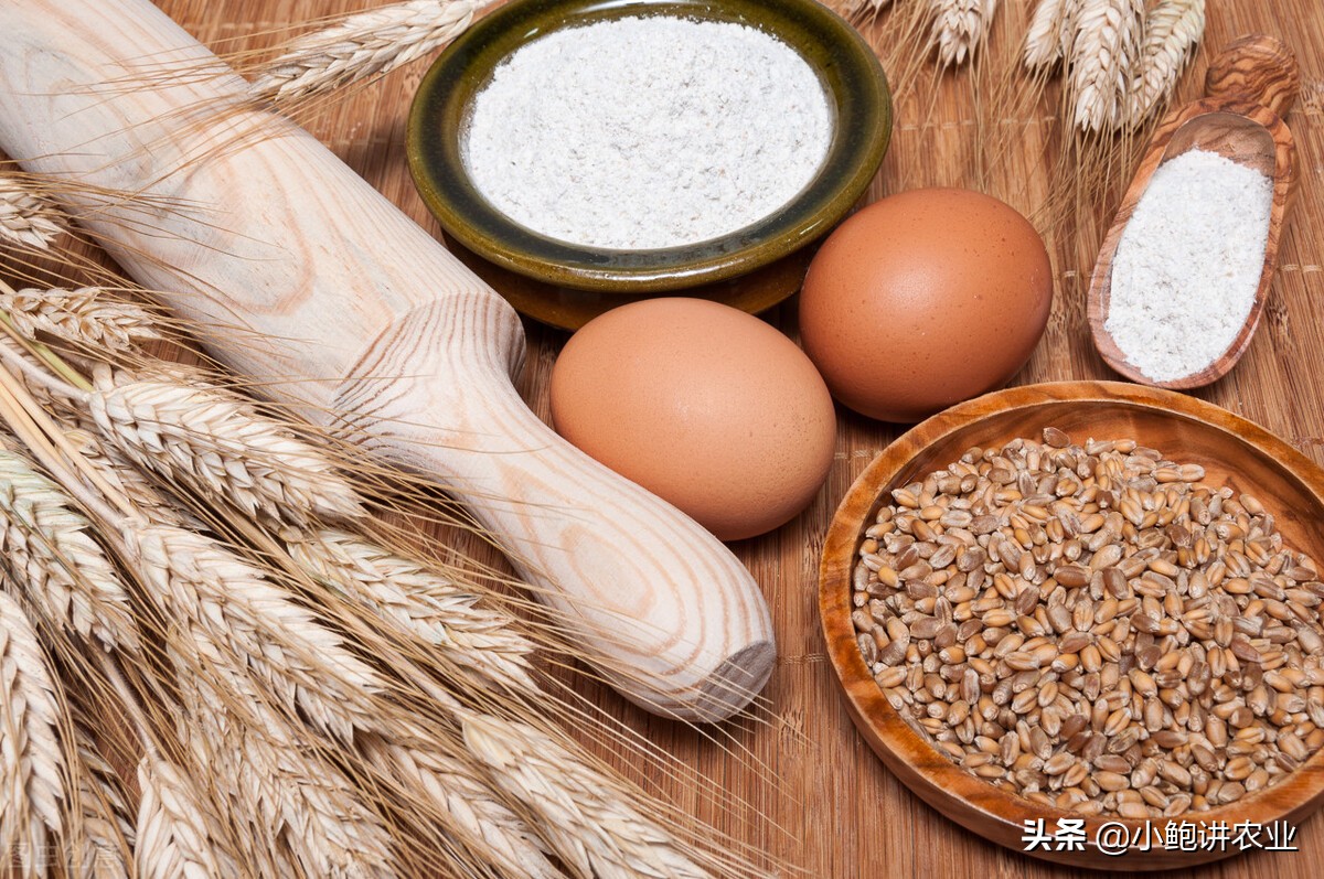 三者搭配有什么效果(三者搭配有什么效果和作用)