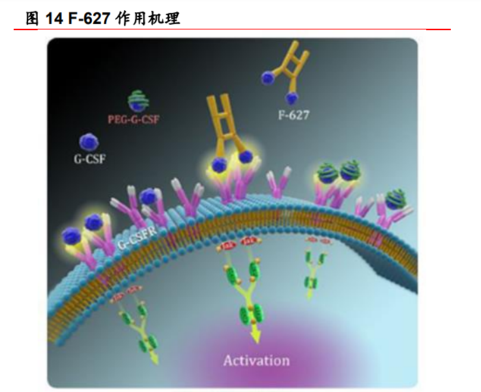 亿帆医药研究报告：三大板块多点开花，原料药业务再现光彩