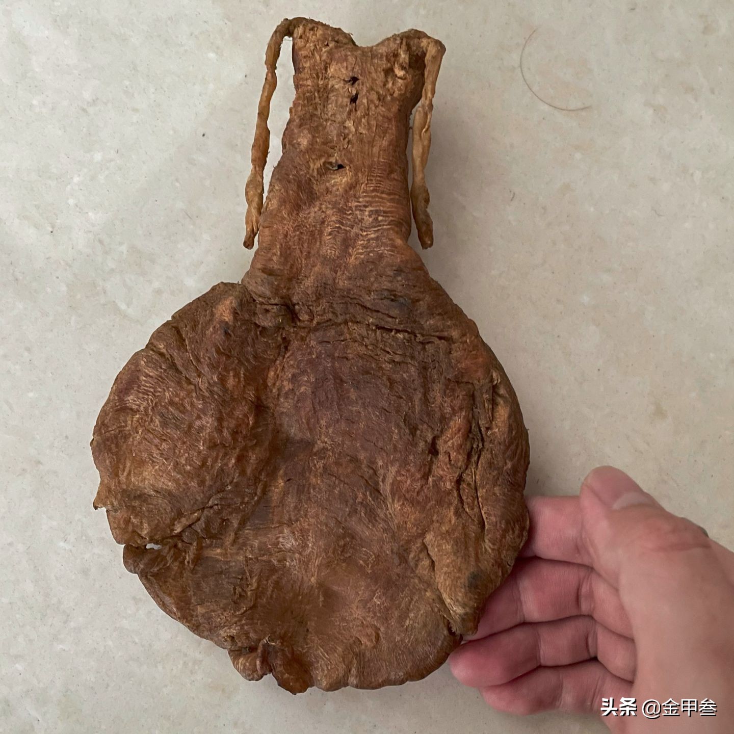 TOP10排行中国的顶级食材，舍得花钱也未必能吃上