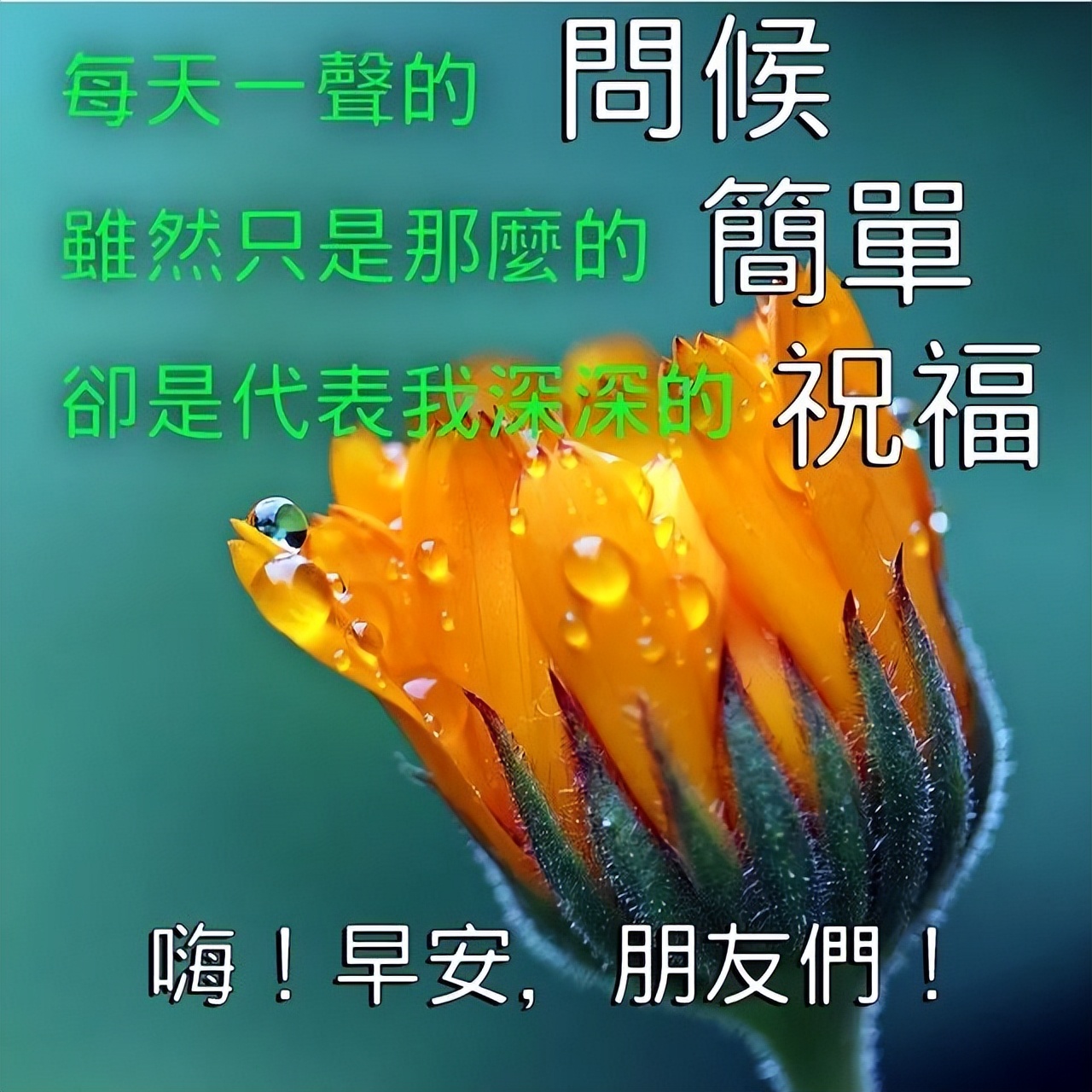 周末早上好祝福的话带文字图片 清晨一声早，心情无比好图片