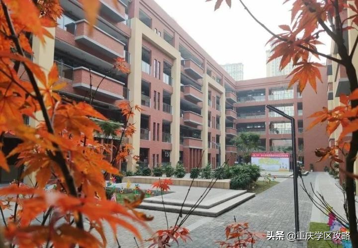 沙坪坝小学沙滨学校所以"沙坪坝小学沙滨学校" "七中沙滨学校",这个