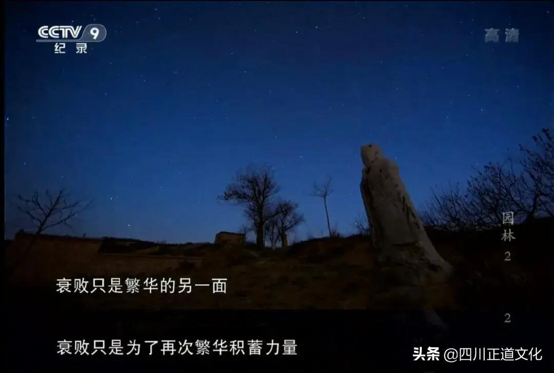 知乎高赞 | 有哪些句子让你觉得一辈子也写不出来?