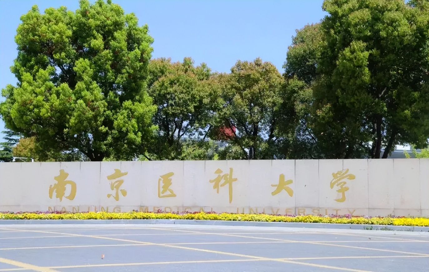 2022医学类高校排名已更新，北协和无缘前三，“首医大”进步迅速