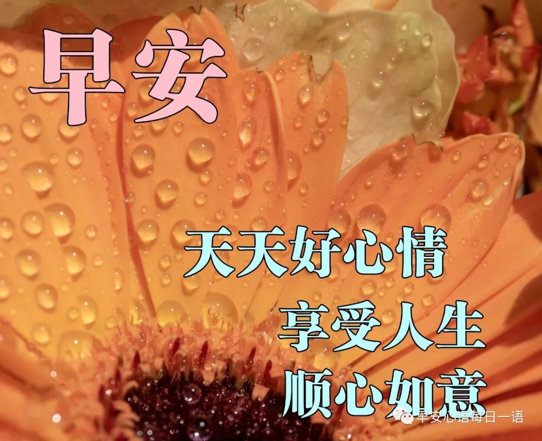 4月4日早上好表情图片，祝福问候永远在，真情永远，友谊天长地久图片