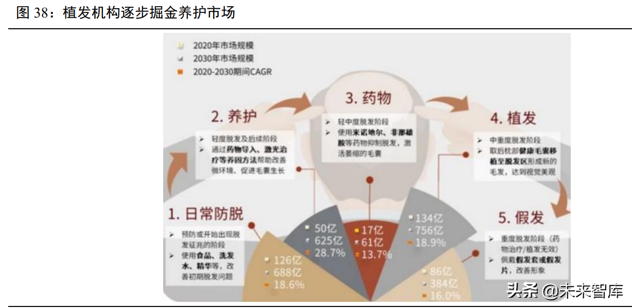 植发医疗行业专题报告：“头”等大事牵动千亿毛发市场