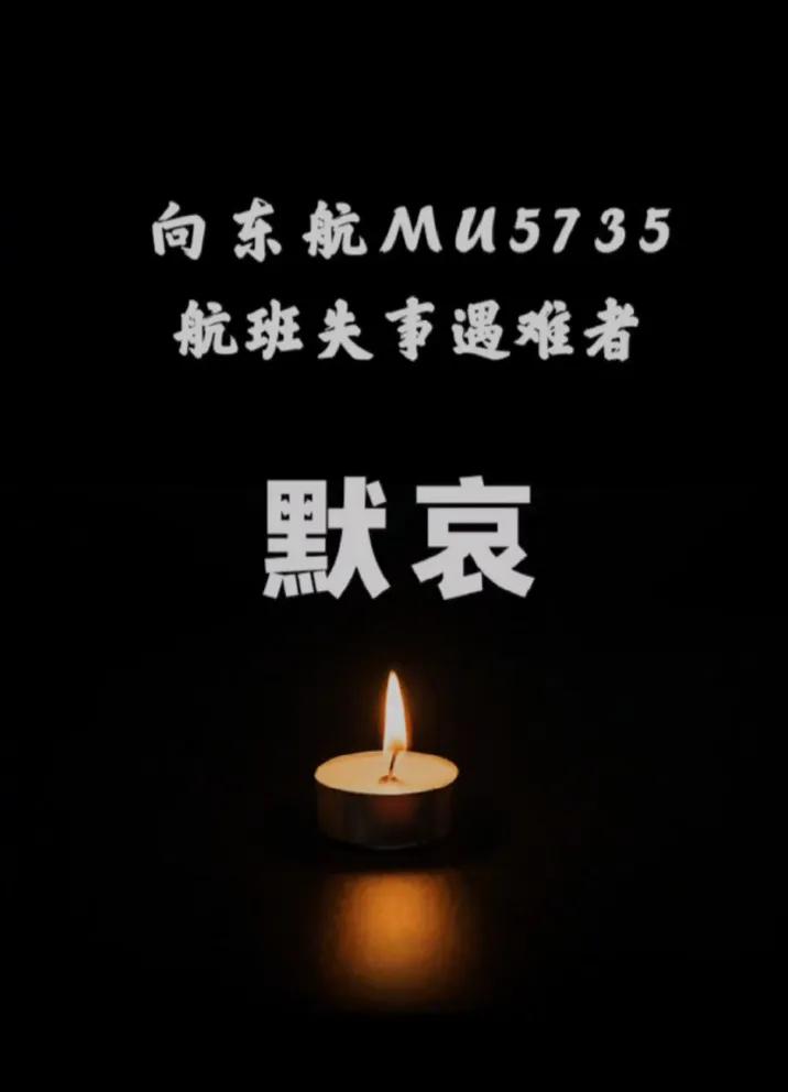 东航MU5735事故现场全场鸣笛致哀