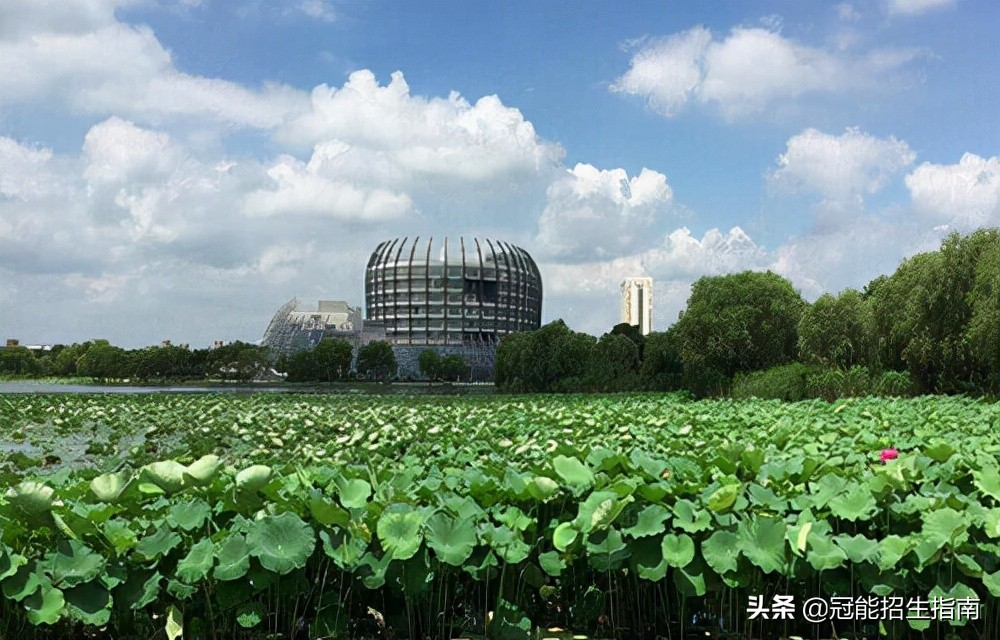 成都热门的职业学校有哪些？学校有哪些专业？