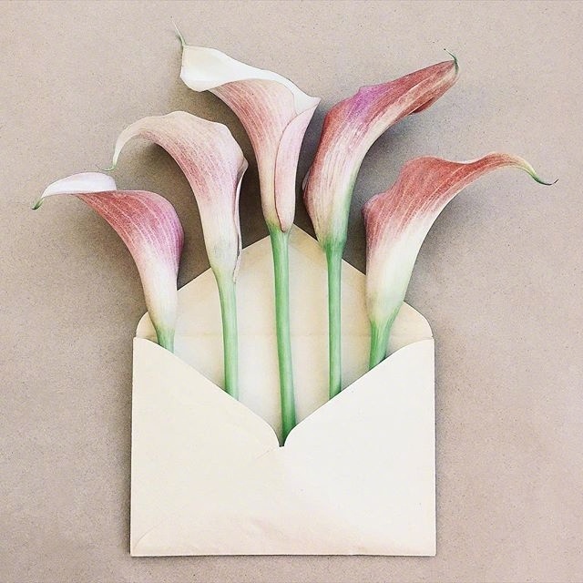 感动女孩子到哭的小情话