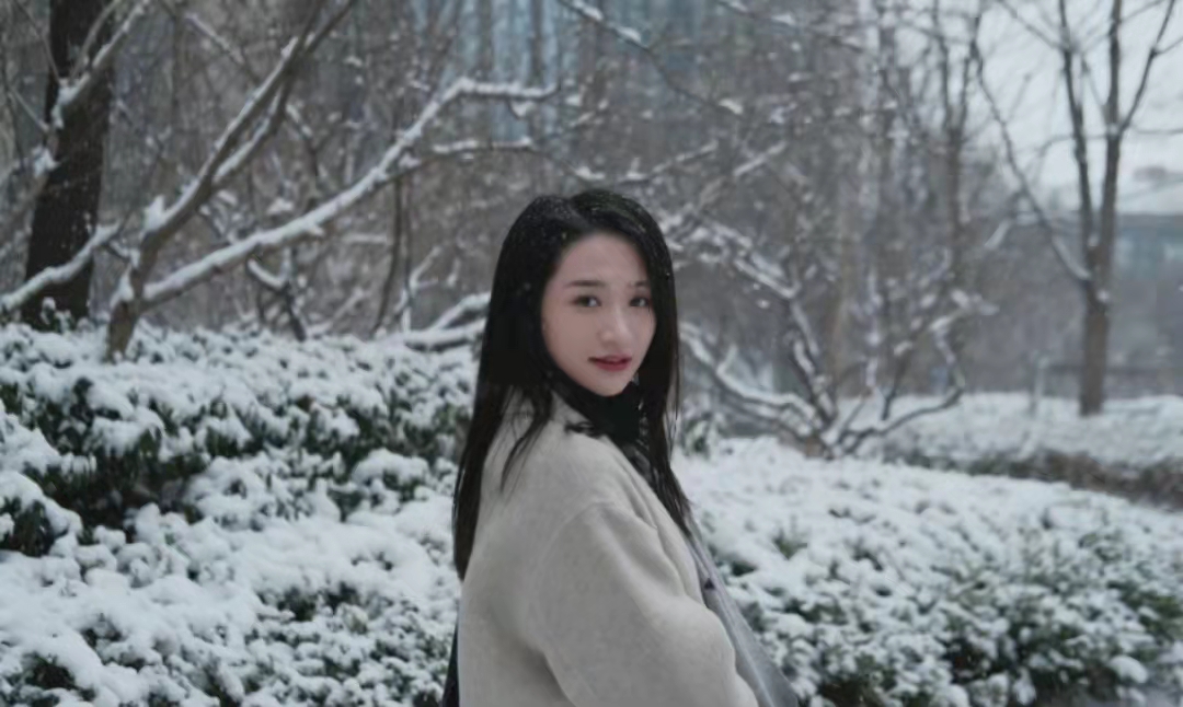 合同爸爸 电视剧（请叫我总监）