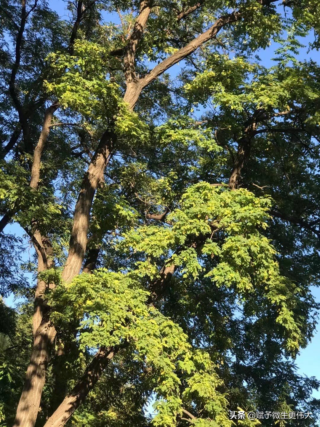 秋趣——闲吟秋景外 万事觉悠悠