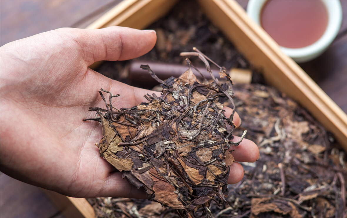 绿茶、白茶、黄茶、黑茶、青茶、红茶，中国6大茶类这下全看懂了