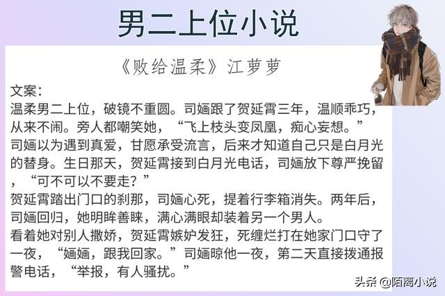 6本男二上位小说，强推《败给温柔》我觉得爱情像太阳，温暖明亮