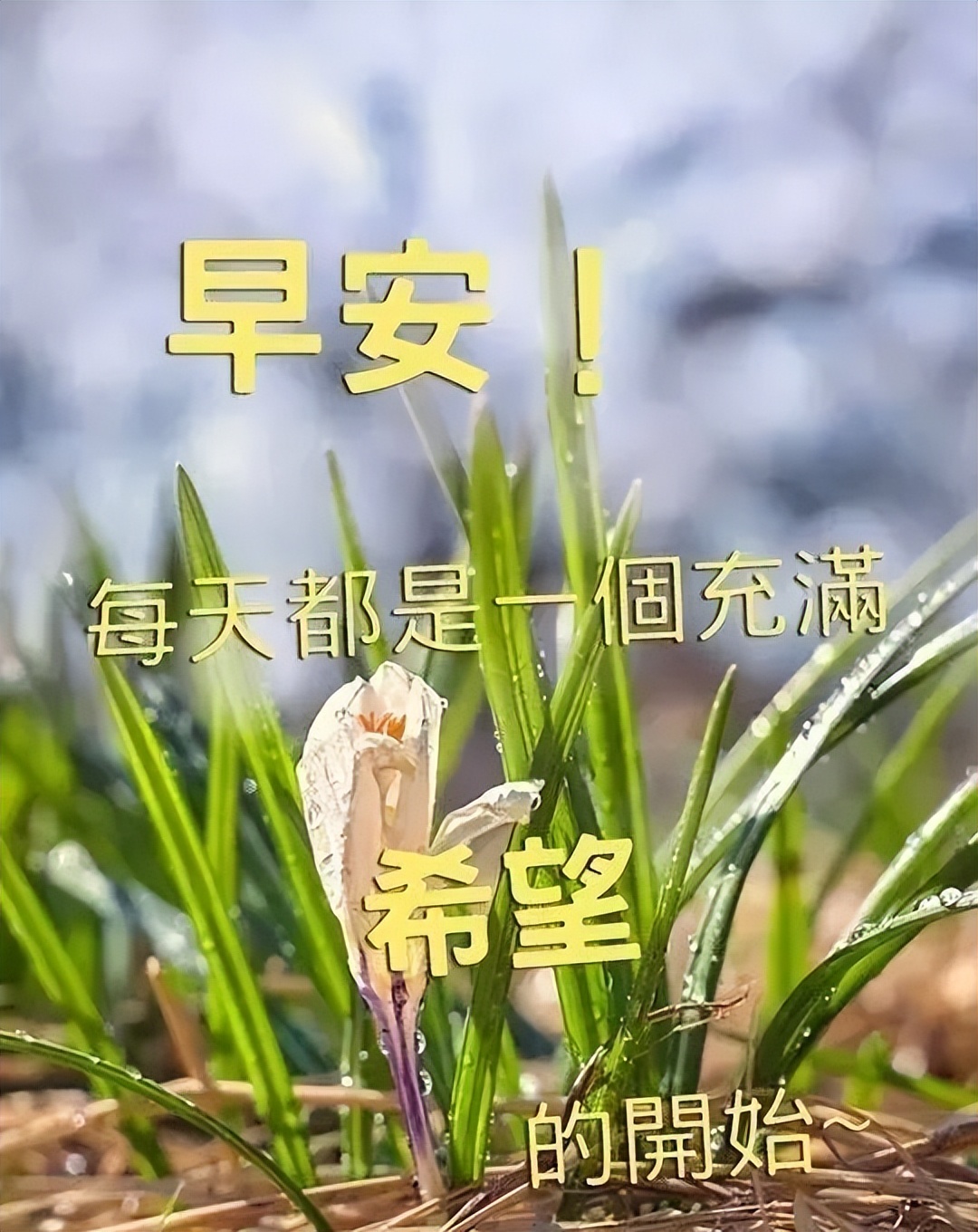 周六早安，非常温馨的早上好祝福语图集，幸福甜蜜、知足健康图片