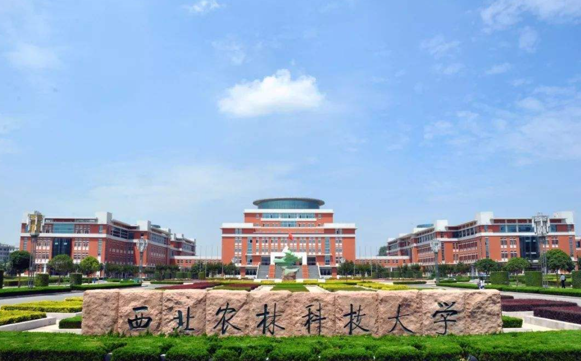 陕西高校金字塔排名新变化，西安交大地位不可撼动，科大进步明显