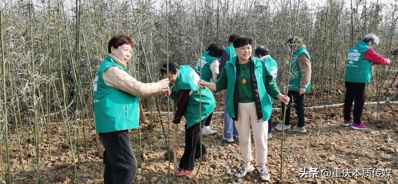 “绿色成长力量——助力碳中和·安然在行动”植树活动成功举办