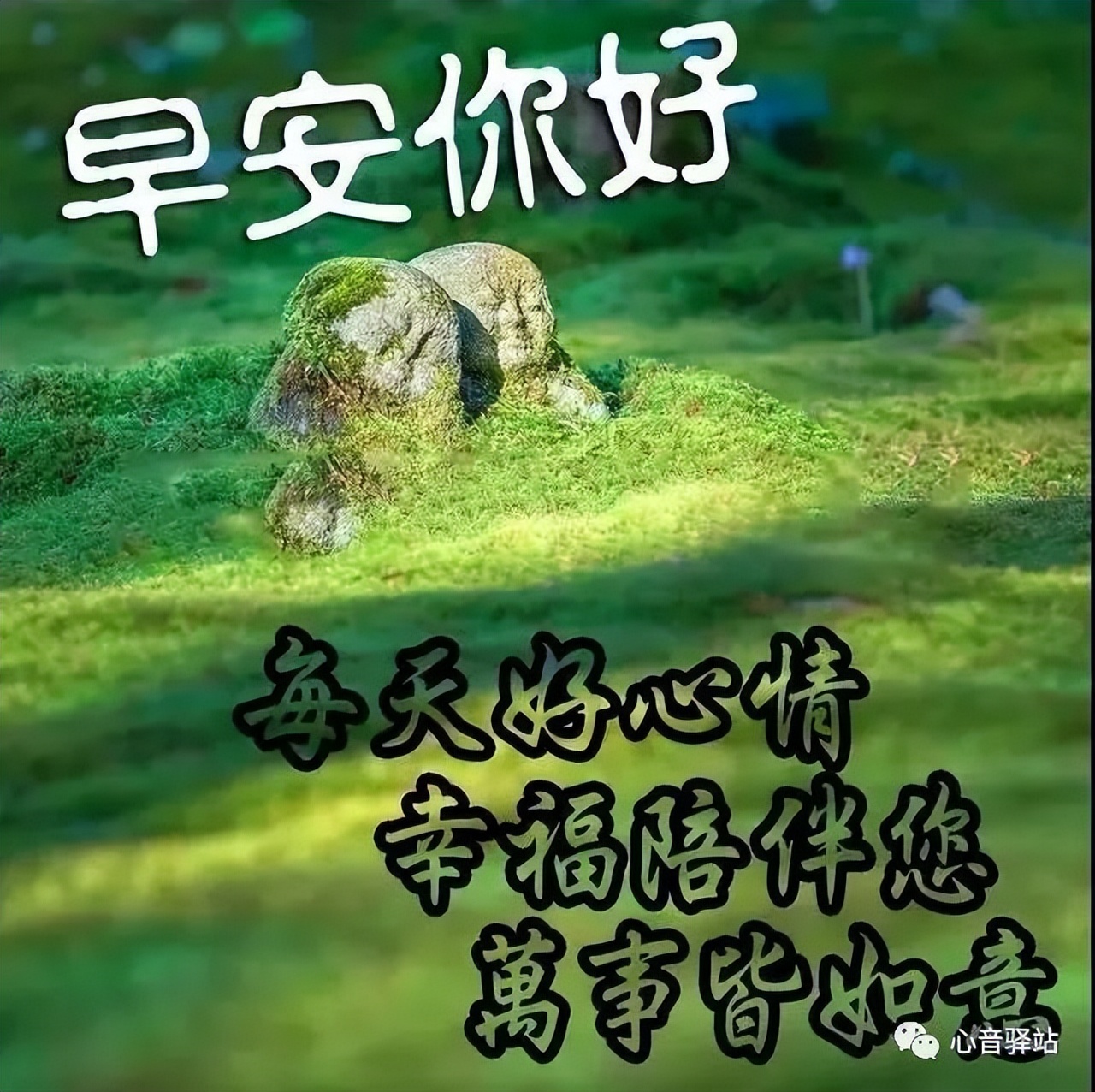 今日早安表情包，长念友谊，非常时期照顾好自己，疫情后再见图片