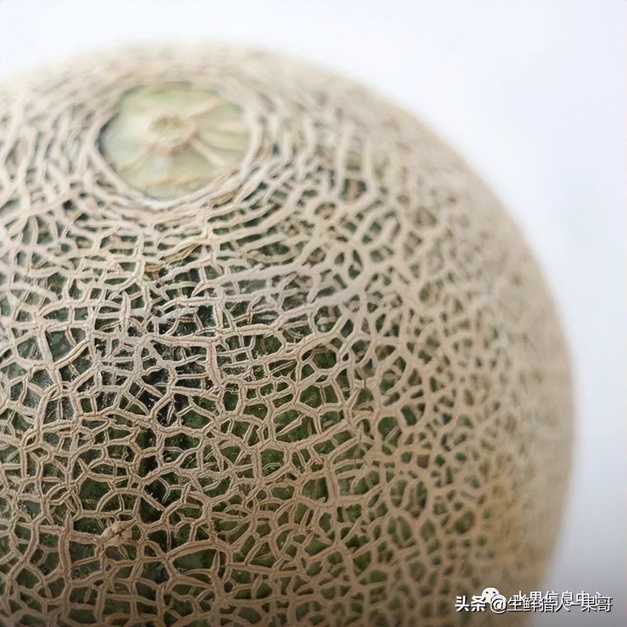 哈密瓜、蜜瓜、网纹瓜、香瓜、羊角蜜傻傻分不清？看完就明白了