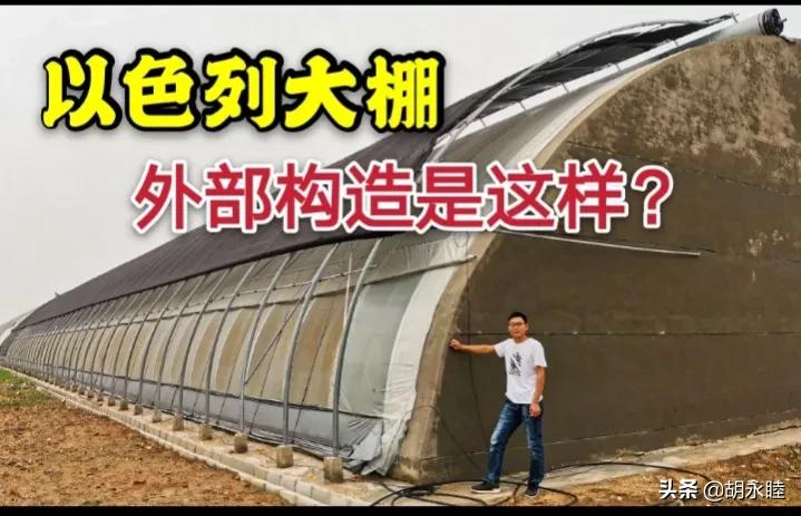 一亩以色列大棚造价60万，有这钱，同样的功能，我能建十几座