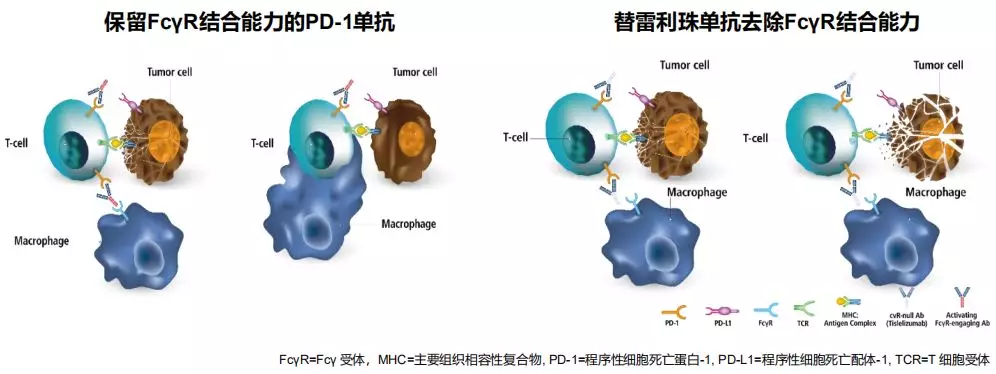 6大关键词，带你见证2021张江生物医药产业的日新月异